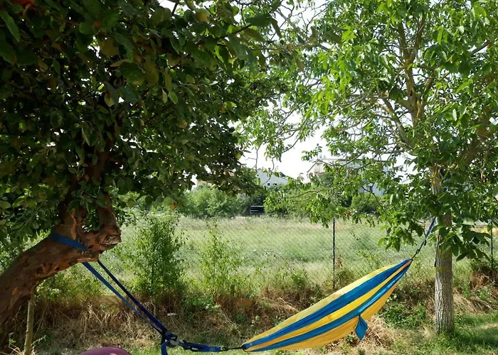 Karolina 2 푼타나